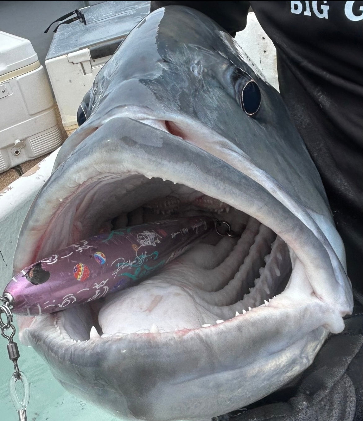 singularity sinking pink 210mm 185g