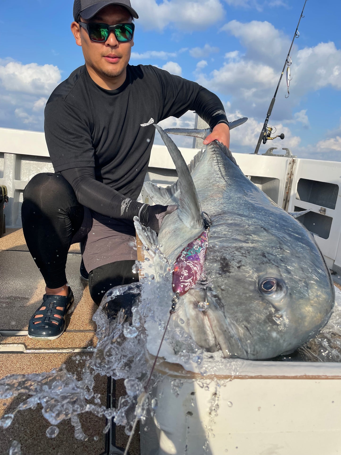 singularity sinking pink 210mm 185g