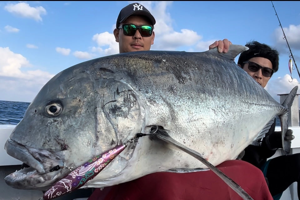 singularity sinking pink 210mm 185g