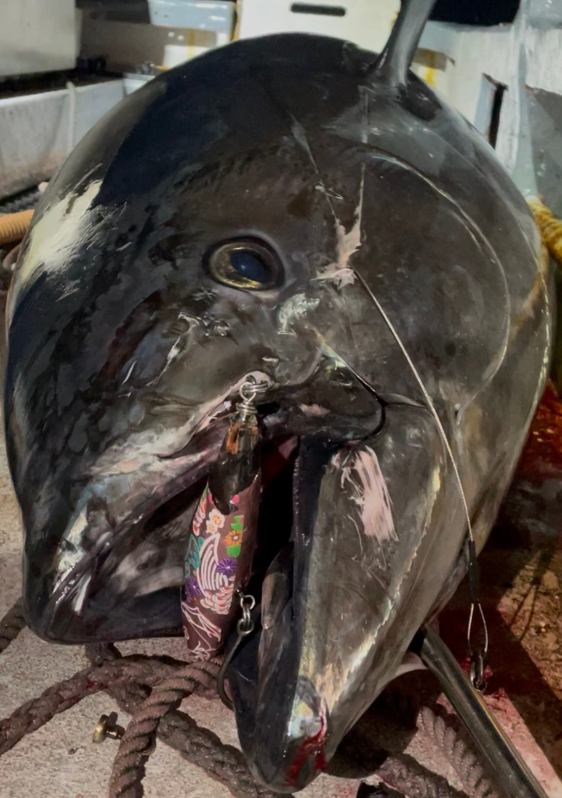 singulality floating pink 210mm 110g