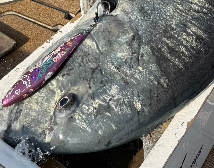 singularity sinking pink 210mm 185g