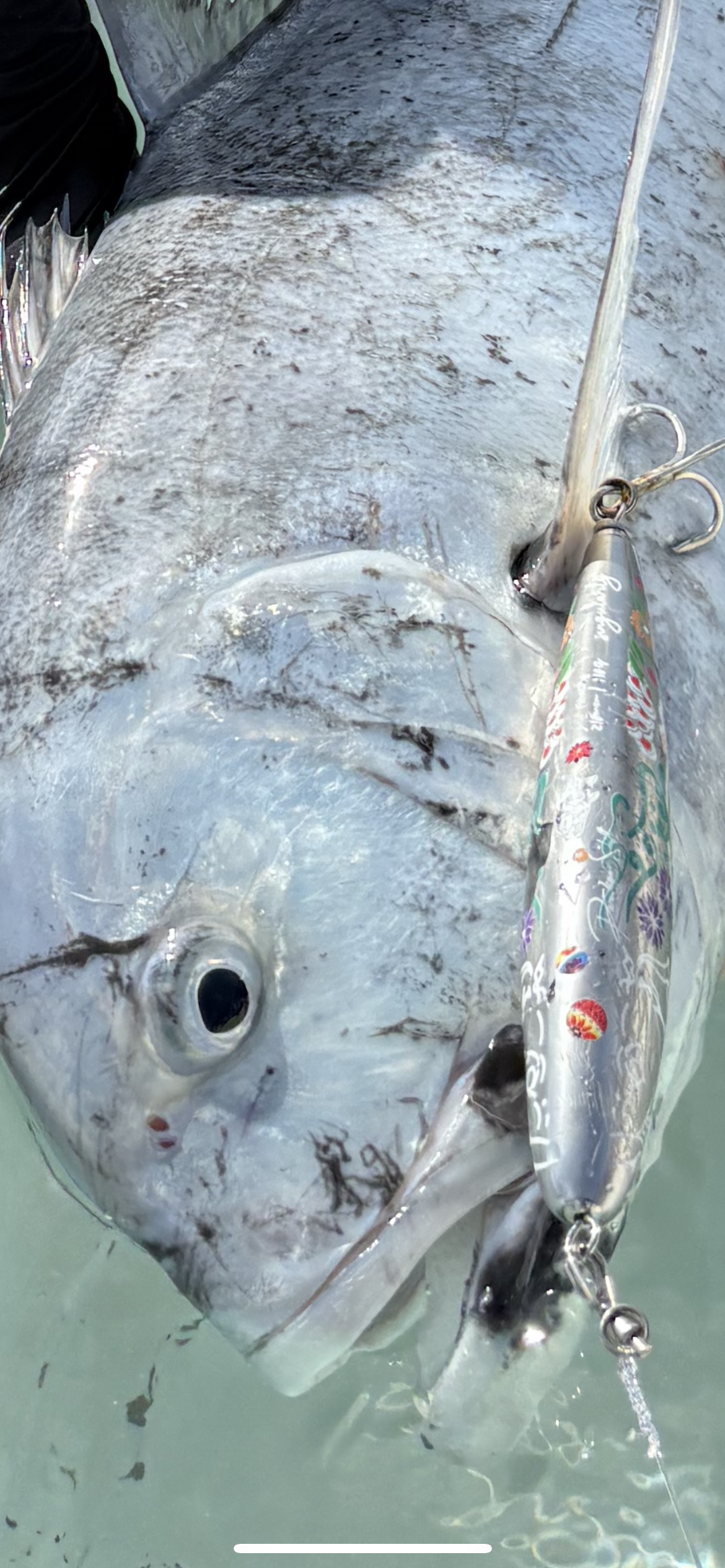 singulality  floating silver 210mm 110g