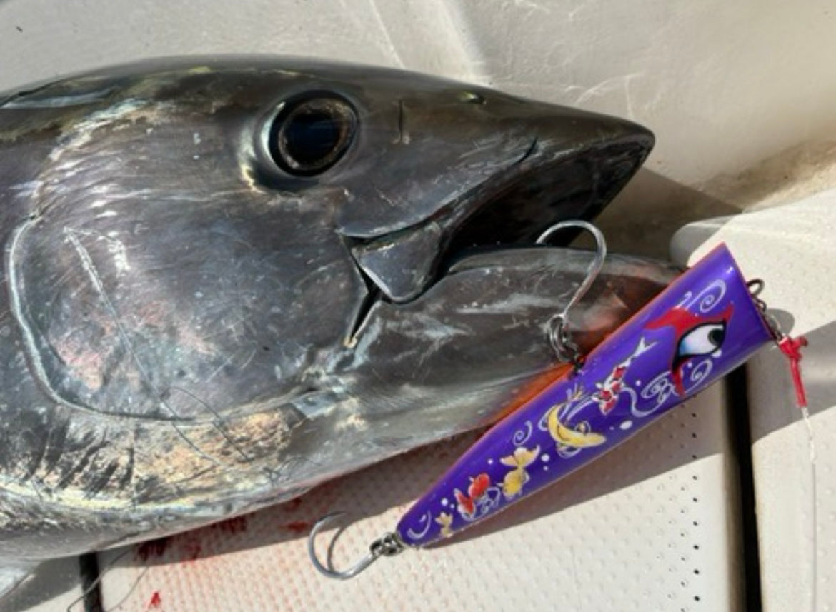 歌舞伎　スイミングポッパー