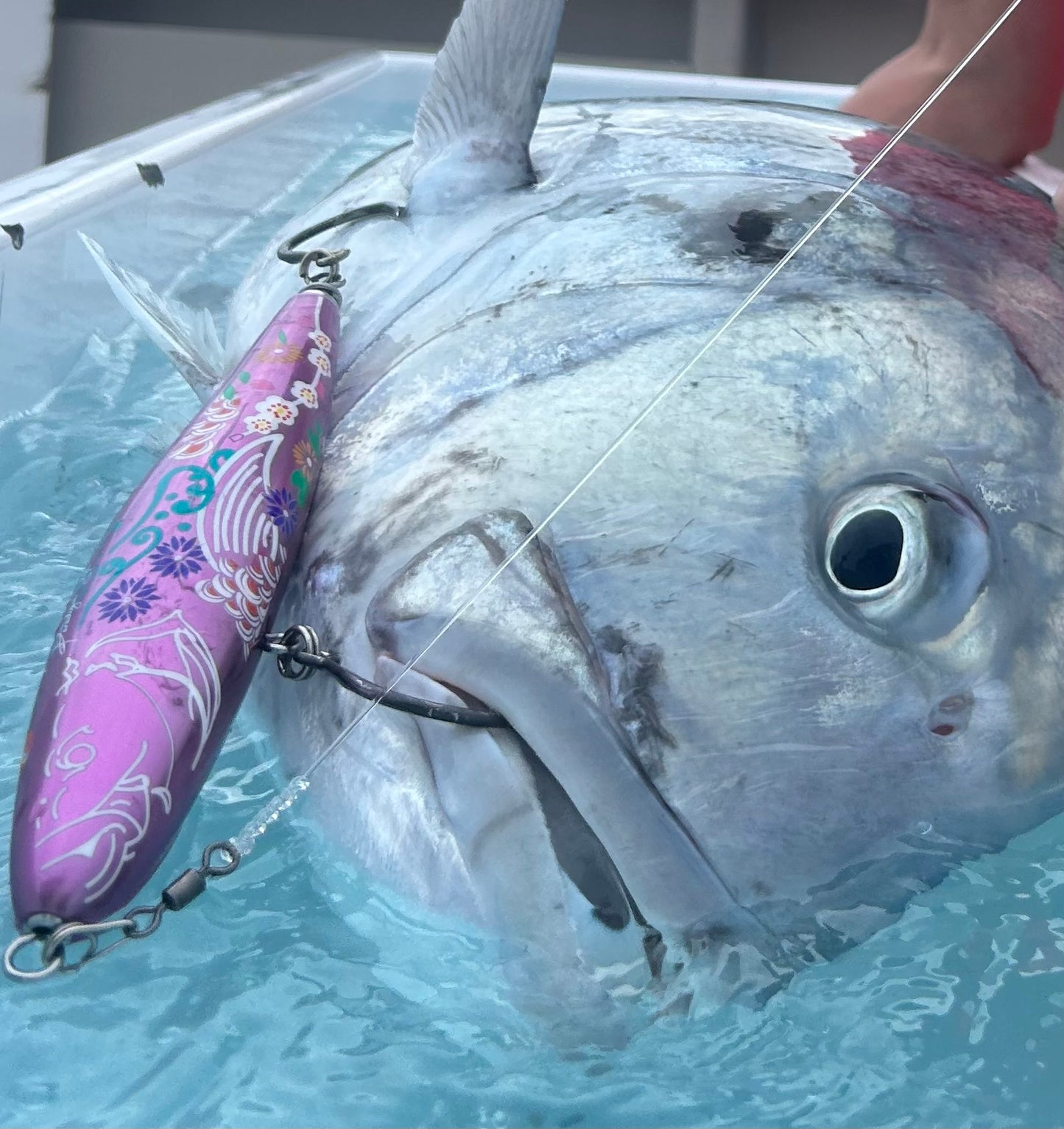 singularity sinking pink 210mm 185g