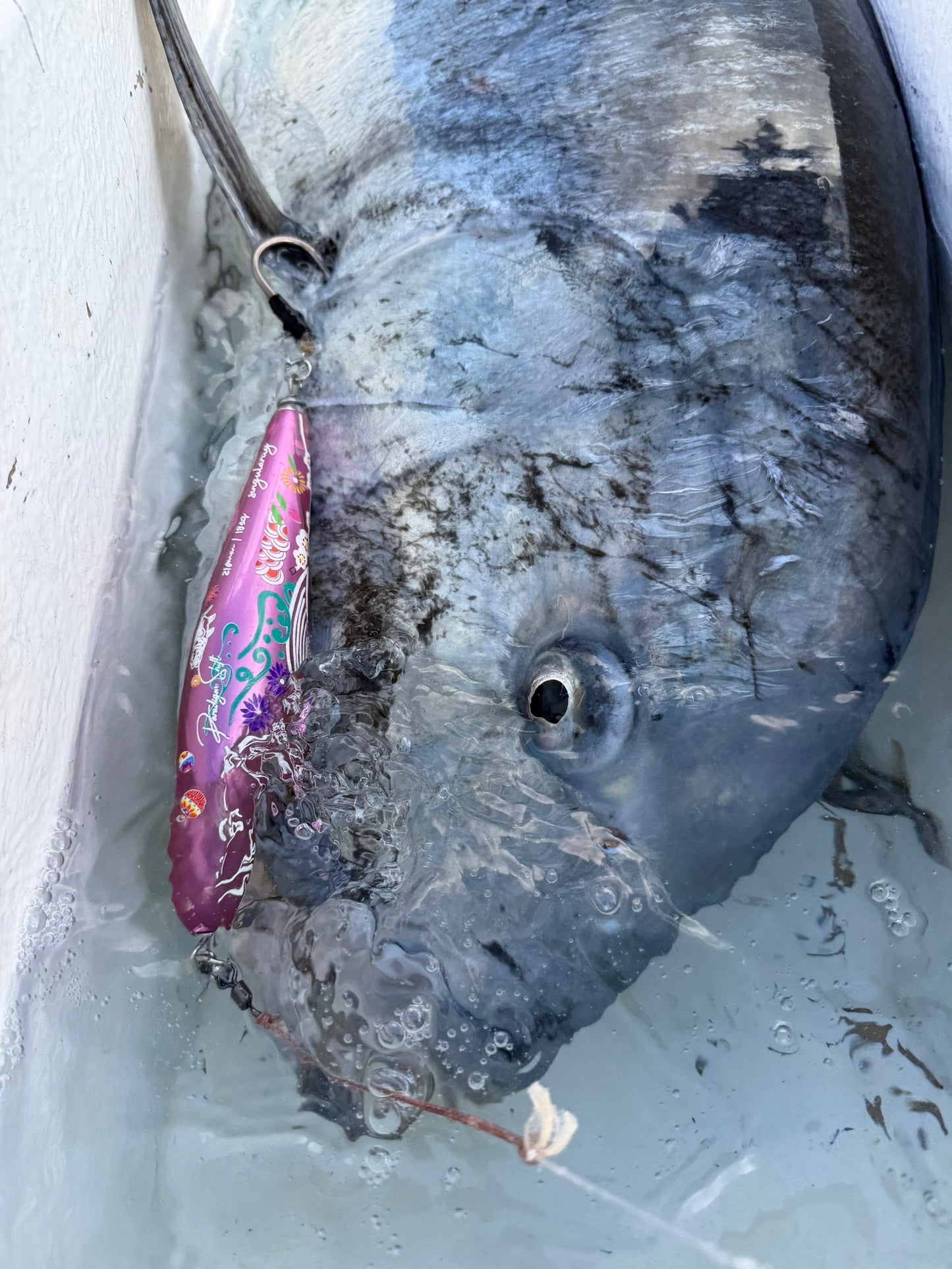 singularity sinking pink 210mm 185g