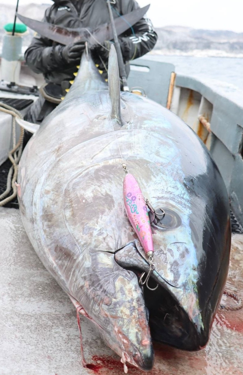 singulality floating pink 210mm 110g