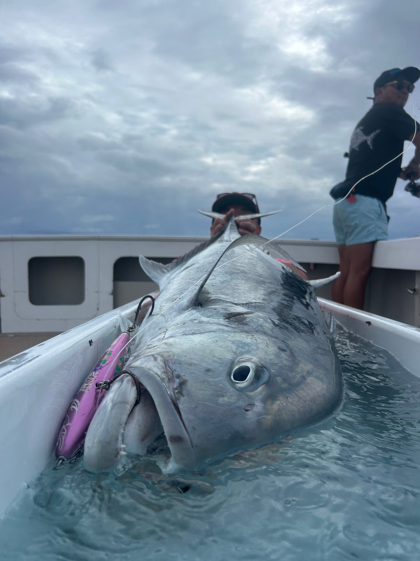 singularity sinking pink 210mm 185g