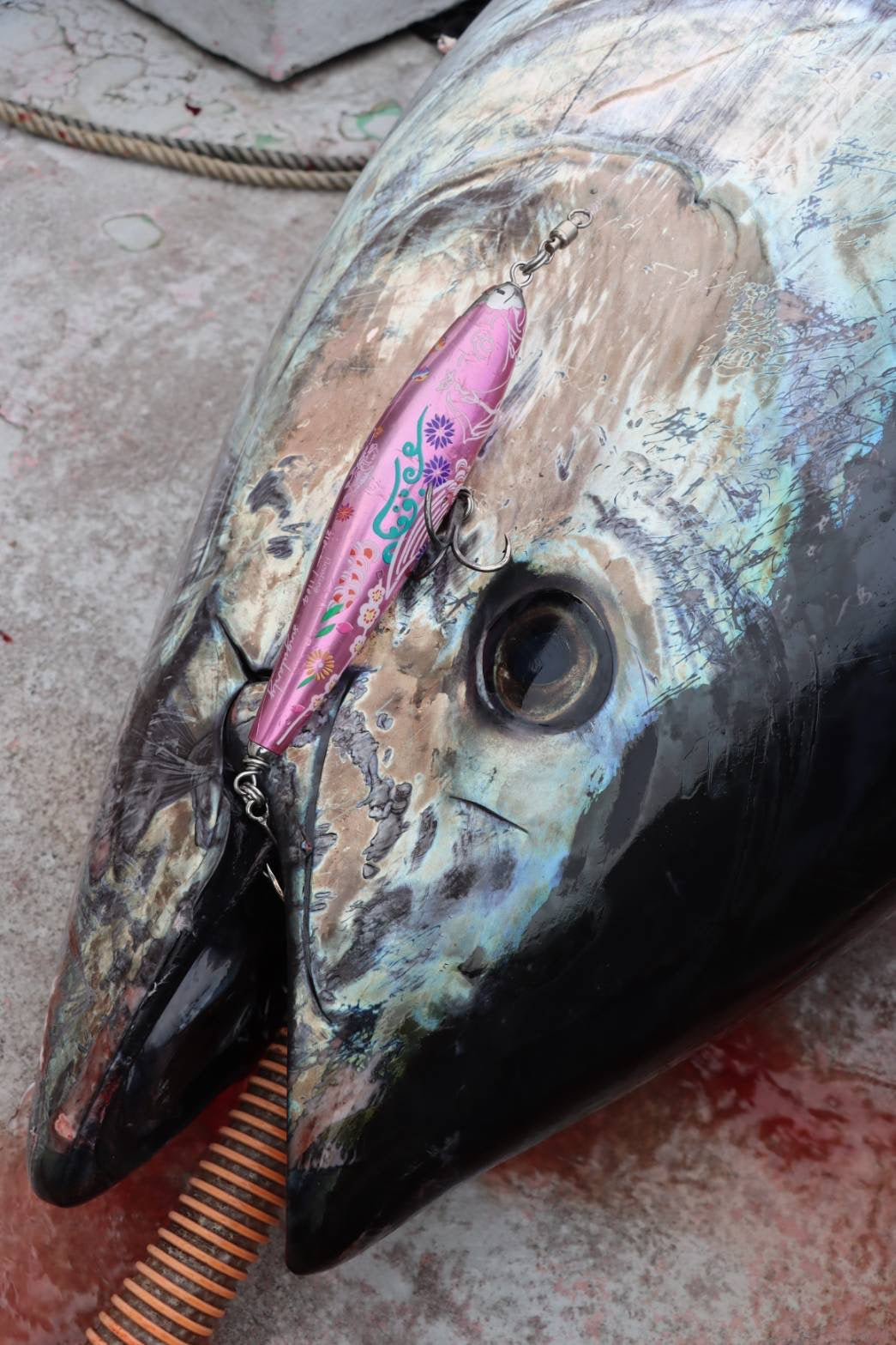 singulality floating pink 210mm 110g