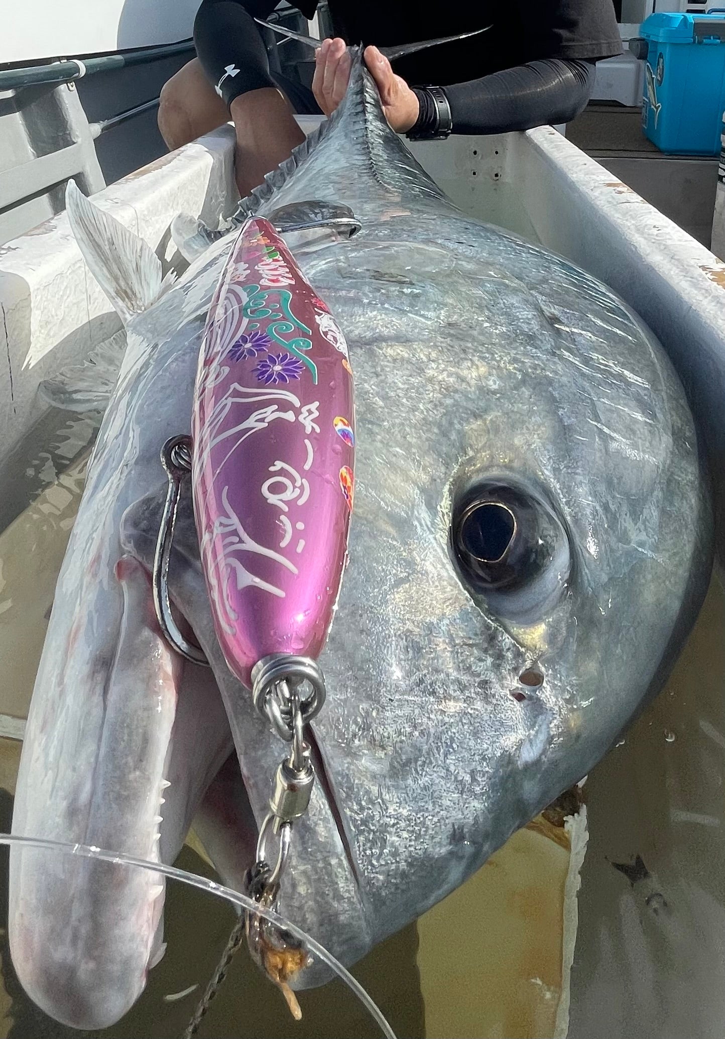 singulality floating pink 210mm 110g