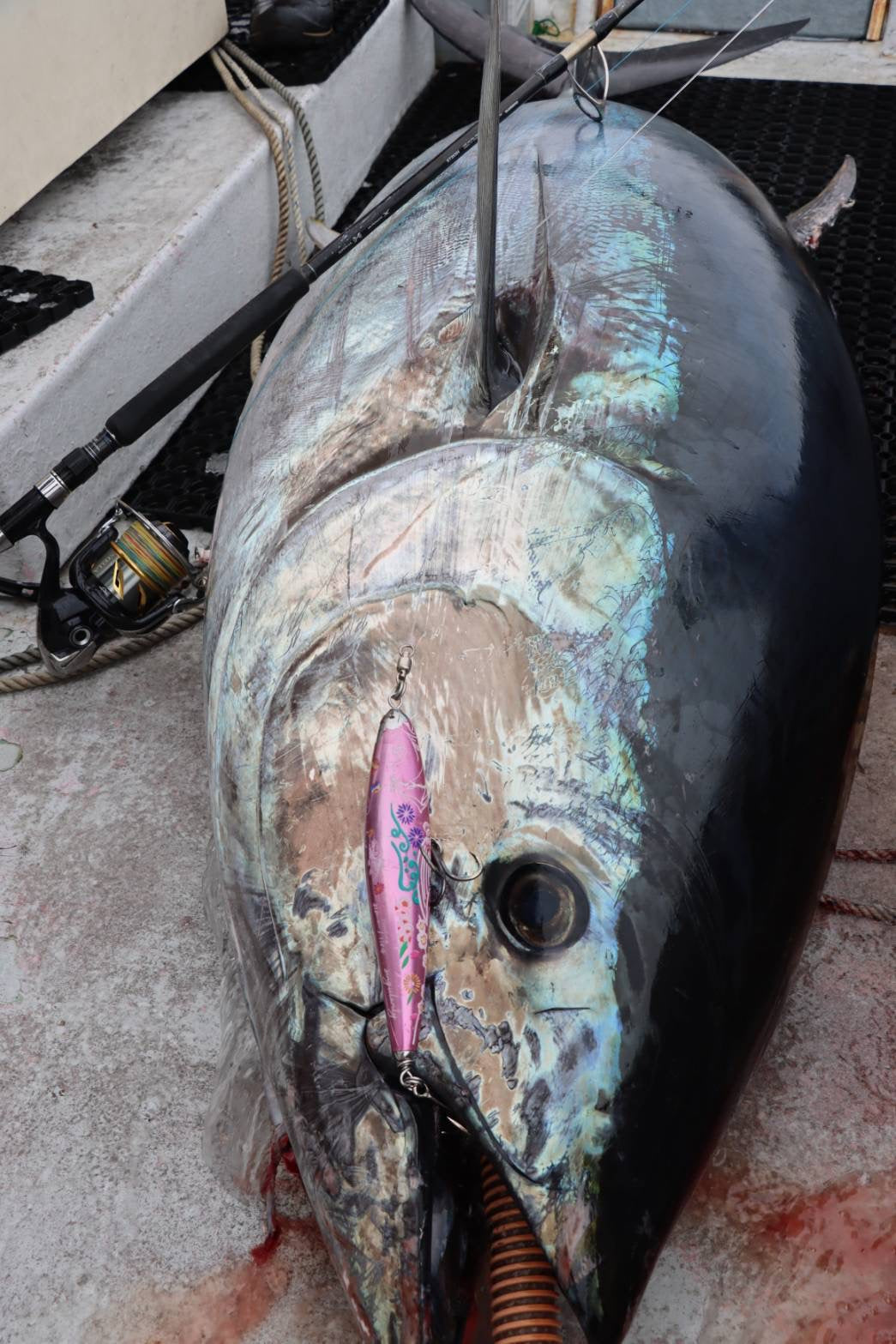 singulality floating pink 210mm 110g