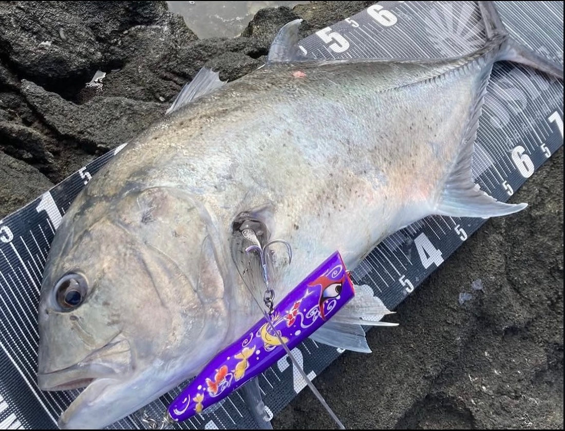 歌舞伎　スイミングポッパー