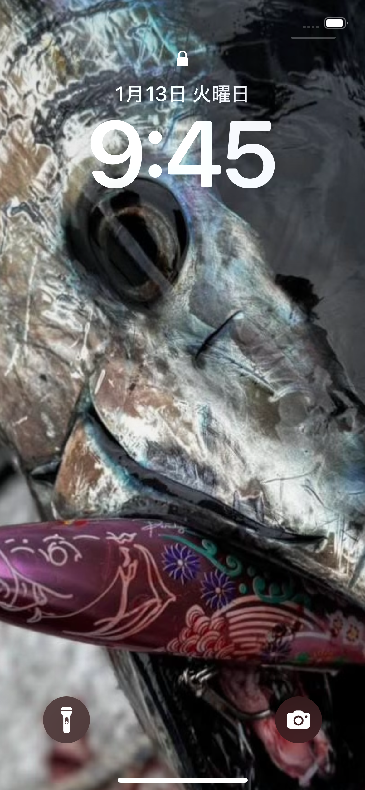 singulality floating pink 210mm 110g